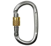 Mosquetón Climbing Technology Pillar Steel SG