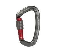 Mosquetón de Escalada en Roca 25 kN con Hebilla Bloqueo Tornillo Forma D for montañismo Profesional, Equipo Ascenso(Gray 25kn)
