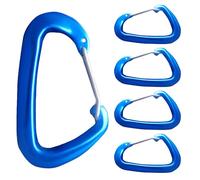 Mosquetón para Llaves - 5 Piezas De Mosquetón En Forma De D con Anilla,Hebilla En D Multiusos - para Escalada, Mochila, Bolso, Camping, Gimnasio, Exterior, Equipaje, Senderismo, Garaje