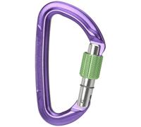 Wild Country Session Screw Gate Mosquetón Talla única Lila