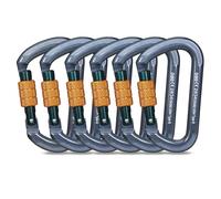 Mosquetones de Bloqueo, Mosquetones de Escalada Gancho Mosquetón de Trabajo Pesado con Tapón de Rosca para Camping, Hamacas, Columpio, Llavero (28KN 6Pack)