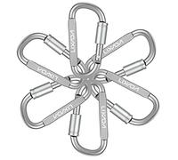 Mosquetones, ganchos resistentes, 6 PCS12KN Clips resistentes con llave for hamacas, camping, senderismo, mochilerismo, escalada, cierre con hebilla y gancho(6pcs Silver 2)