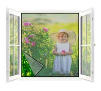 Mosquitera para Ventana 1Pcs - 120 x 120 CM - NEGRO, No es Necesario Taladrar, Tamaño Fijo No Admite el Recorte DIY