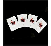 Mosquito Action Trucos de magia Mosquito que aparece en tarjeta en blanco Beat Mosquito Primer plano Divertidos ilusiones Trucos