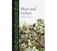 Moss And Lichen
