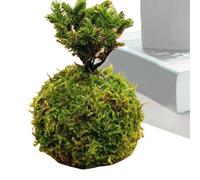 Moss Planter Pot, Stable, Cute, - Green Soporte de Flores, Creativo pájaros en, macetas contenedores Plantas Bonsai decoración | Multipurpose Outdoor Indoor Utility Easy to Install