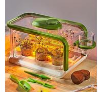 Mostop Kit para el cultivo de plantas para niños con sistema de riego por goteo y luz LED para cultivar en invernadero, set de jardinería para niños, kit educativo de plantación científica