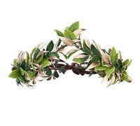 MOSTORY Corona de rey del bosque hecha a mano para fiesta temática, tocado de hoja romana de Dios para hombre, boda, novia, dorado, verde, laurel para carnaval, Mardi Gras, cosplay, disfraz de Toga,