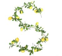 MoSundi Guirnalda de margaritas y frutas de limón sintético de 180 cm, vid de eucalipto artificial, para decoración del hogar de temporada, arreglo floral de bricolaje, para mantel, puerta, centro de