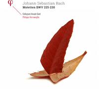 Motets BWV 225-230