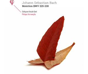 Motets BWV 225-230