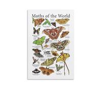 Moth Life Cycle & Symbolism Art Print - Educational Insect Knowledge Poster for Nature Lovers, Biology Study, and Mystical Home Decor(Unframed,16x24inch(40x60cm))