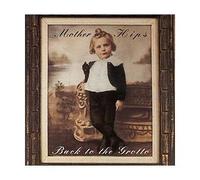 Mother Hips - Back to the Grotto
