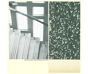 Mothers - When You Walk A Long Distance You Are Tired [Vinilo]