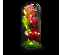 MOTHNUR Adorno Floral con Flor de Simulación y Cubierta de Vidrio Luz LED Pequeña para Ambiente Nocturno Decoración Romántica para Escritorio Obsequio Creativo para San Valentín