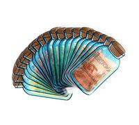 MOTHNUR Bolsas de Hielo Inyección de Agua 400ml 20 Piezas Gel Refrigerante Duradero para Picnics y Deportes Bolsas Enfriamiento Verano Uso Familiar Colores Aleatorios Color Aleatorio