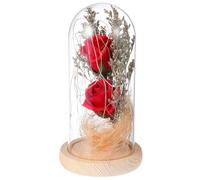 MOTHNUR Lámpara LED de Mesa 2 Flores de Jabón Rojas bajo Cúpula de Cristal Adorno Romántico para Hogar y Oficina Decoración sin Cable ni Pilas Luz Nocturna Ambiental