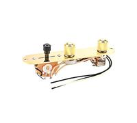 MOTHNUR Placa de Control para Guitarra Eléctrica Profesional Duradera y Fácil de Instalar con Perillas de Tono y Volumen Accesorio de Repuesto para Luthiers y Músicos Compacto y