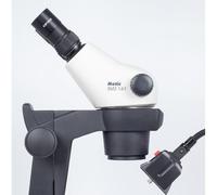 Motic Microscopio stereo zoom GM-161, bino, fluo, 7.5-45x, wd 110mm
