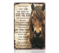 Motivación Ecuestre: Aprende De Tus Errores, Pero Nunca Te Arrepientas. Placa Metálica Divertido Letreros De Estaño Impermeable Cartel De Metal para Bar Balcón Patio 20X30Cm