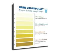 Motivational Health Canvas Wall Art Funny Educational Poster with Humor for Bathroom Office Gym Living Room Bedroom Wall Decor(Unframed,16X24inch(40X60cm))