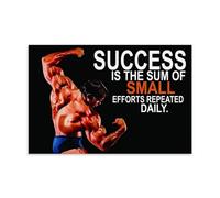 Motivational Posters Arnold Schwarzenegger Success Quotes Poster Póster Pintura Decorativa Lienzo Arte de Pared Salón Póster Dormitorio Pintura, Arte de Pared Impresión de Imagen Moderna Decoración de
