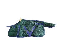 MotiveTech Manta de Invierno para Caballos, Manta de Exterior, Impermeable, Cálida, 100cm