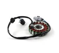 Moto Bobina De Estator Para Benelli Para TNT25 Para TNT 250 BN 251 Para TRK 251 Para LEONCINO 250 Bobina Estator Generador Bobina Magneto Encendido Motocicleta Estator De Encendido