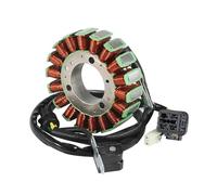 Moto Bobina Estator Magnético Bobina Estator Generador Encendido Motocicleta para ATV para Quad para Raider 600 para Deluxe 2011