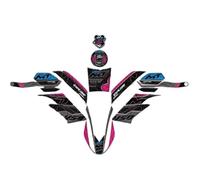 Moto depósito Almohadilla Pegatinas para Guardamanos De Motocicleta Paneles Calcomanías Protectores Laterales Tanque Combustible Y Aceite Frontales para 450MT 450 MT MT450