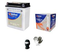 MOTO SPORT MONDO Compatible con BMW G GS S 650 2008 a 2015 BATERIA YB12AL-A2 12V 12 AH BATERIAS 12 AMPERIOS 12 VOLTIOS PREPARADAS para Uso ESPECIFICO Moto Scooter 134X80X160MM
