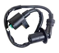 Motociclet Bobina De Encendido para TRX250X para TRX250TM para TRX250TE para ATV para GY6 De 50cc A 250cc Bobina De Encendido Paquete De Dispositivo De Encendido Bobinas