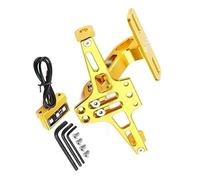 Motocicleta Accesorios Soporte para Matrícula De Motocicleta, Luz Trasera para para CFMOTO 250SR NK250 150 400 650GT MT 700CLX(Gold)
