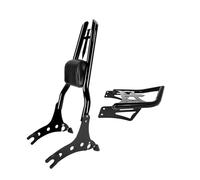 Motocicleta Almohadilla Respaldo Respaldo para Pasajero de Motocicleta con portaequipajes para Chieftain, Roadmaster, Springfield y Dark Horse (2014-2025)
