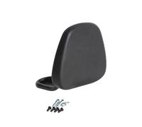 Motocicleta Almohadilla Respaldo Respaldo para Pasajero Trasero de Motocicleta, Almohadilla Protectora para Respaldo, Accesorios para BD350 BD450 BD500 BD 450 500