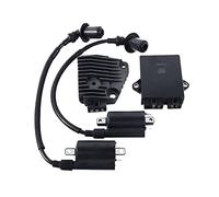 Motocicleta Bobina Encendido para XV250 para V Star 250 para Virago para Route 66 para LF250 Kit De Unidad Control Encendido Caja CDI Motocicleta Accesorios Rectificador
