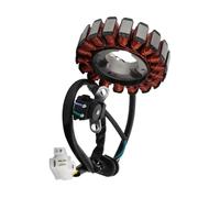 Motocicleta Bobina Estator Compatible Con CBF125 Para GLR125 2015 2016 2017 2018 Motocicleta Magneto Estator Bobina Generador Motor Accesorios Reemplazo