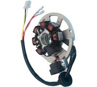 Motocicleta Bobina Estator Compatible Con Yamaha Para YE50 Para YE80 Para Zest 50 Kit De Reemplazo De Bobina De Estator De Generador De Encendido Magnético De Motocicleta