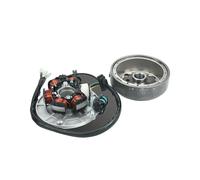 Motocicleta Bobina estator generador magnético Arranque De Patada Horizontal para Motores Dirt Pi LF140, Kit De Encendido, Estator Y Volante Magnético para Lifan 140 CC 1P55FMJ