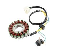 Motocicleta Bobina estator generador magnético Bobina De Estator para Motocicleta, Generador De Magneto De 18 Bobinas para Pulse Adrenaline XF125GY-2B 125cc K157FMI