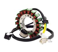 Motocicleta Bobina Magneto Stator Bobina De Estator Magneto para YF 400 YFM 350 YFM 400 YFM 400 1993-2001 Reemplazar OEM: 3HN-85510-10-00 ;4GB-85510-00-00