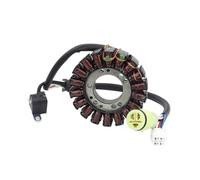 Motocicleta Bobinas Estator Bobina De Estátor Magneto Generador 5LP-81410-01-00 Para Yama&ha YFM250 YFM660 660R Raptor 660 Big Bear 250 YFM660RP YFM250XR 25XS
