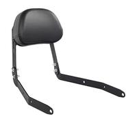 Motocicleta Caja Trasera Estante para Dark Flag 500 V4 Respaldo Plegable Desmontable, Portaequipajes Trasero Cuero TravelFit Soporte Lateral Alforjas Motocicleta(Type B)