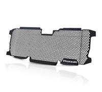 Motocicleta Cubierta Rejilla Radiador Para R1200R 2015 2016 2017 2018 Para R1200RS 2015 2016 2017 2018 Accesorios De Motocicleta Cubierta De Rejilla De Radiador Protección