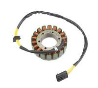 Motocicleta de Estator Bobina del Estator Motor De Motocicleta para BMW F650GS, F700GS, F800GS, F800R, F800S, F800ST Y F800GT