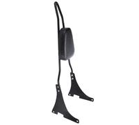 Motocicleta Estante Asiento Trasero Portaequipajes para Motocicletas Sissy Bar Respaldo Trasero De Pasajero Cojín Soporte Montaje para Sportster XL 883 1200 2004 2005-2025