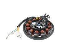 Motocicleta Estator Bobina Encendido Estator Magneto De CC 12 Bobinas para Ciclomotores Glixal GY6 125 CC, 150, 180 Y 200, ATV, Karts, Quads, Motores 152QMI 157QMJ