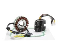 Motocicleta Estator Motor Compatible con Leonardo 250 2002-2004 Piezas de Motocicleta Topteng generador estator regulador Junta rectificadora Cubierta Tapa del cárter estátor