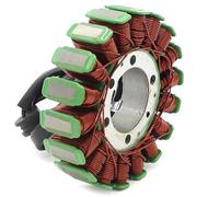 Motocicleta Magneto estator Bobina de estator encendido motocicleta generador Comp para Tr&iumph Speed para Triple Sprint RS ST 1050 para Daytona para Tiger 955i
