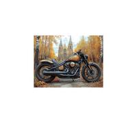 Motocicleta Pintar por Numeros Adultos, Luminiscencia Cuadros para Pintar por Numeros Arquitectura, Kit Pintura 50x70CM para Regalo Mujer Luminiscencia Cuadros Decoracion Salon Modernos GYYH-6073